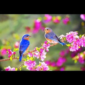 Meet your Posher, Patsy